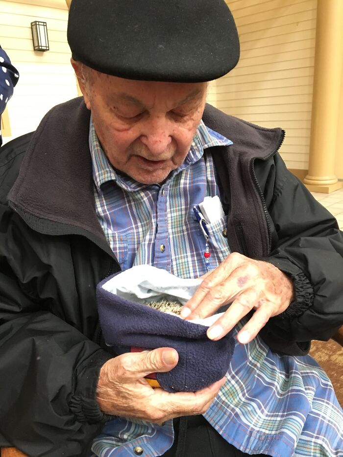 I Took 38 Adorable Hedgehog Photos Showing How People React To Them I Took 38 Adorable Hedgehog Photos Showing How People React To Them