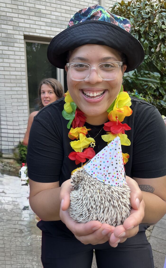 I Took 38 Adorable Hedgehog Photos Showing How People React To Them I Took 38 Adorable Hedgehog Photos Showing How People React To Them