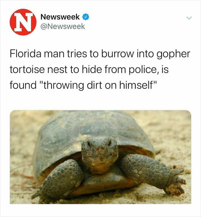 87 Unhinged News Headlines That Can Only Happen In America 87 Unhinged News Headlines That Can Only Happen In America