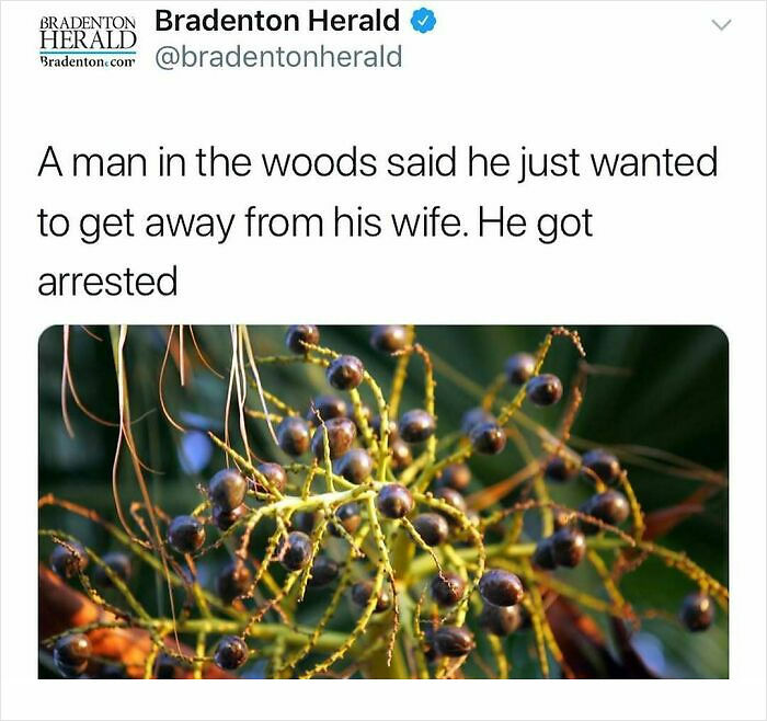 87 Unhinged News Headlines That Can Only Happen In America 87 Unhinged News Headlines That Can Only Happen In America