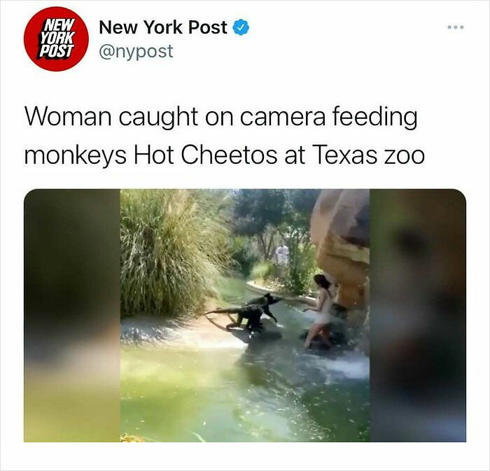 87 Unhinged News Headlines That Can Only Happen In America 87 Unhinged News Headlines That Can Only Happen In America