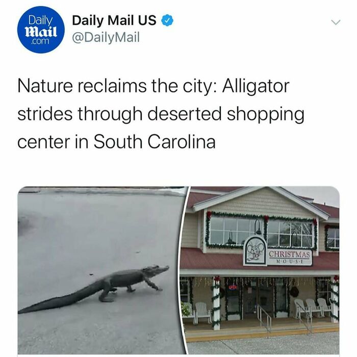 87 Unhinged News Headlines That Can Only Happen In America 87 Unhinged News Headlines That Can Only Happen In America