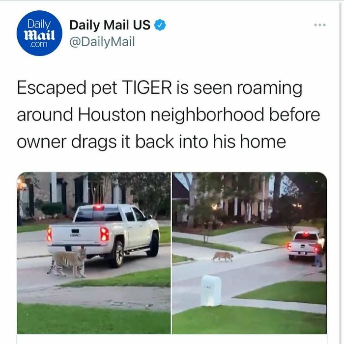 87 Unhinged News Headlines That Can Only Happen In America 87 Unhinged News Headlines That Can Only Happen In America