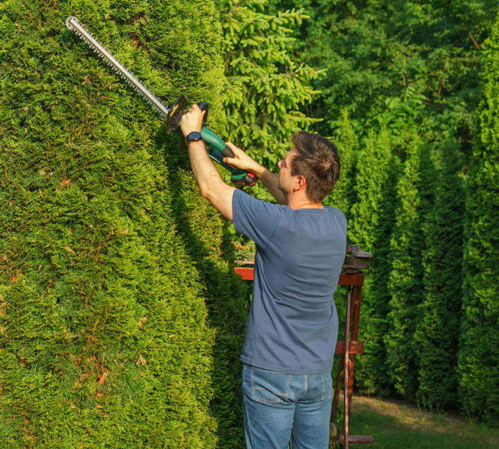 Neighbors Try To Force Woman To Trim Living Hedge Diving Their Properties, She Maliciously Complies