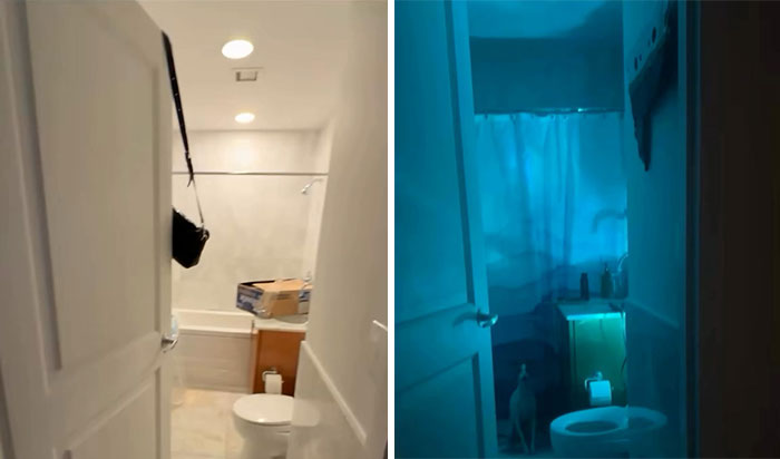 New York Model Turns Her NYC Apartment Into A Full-On Titanic Movie Set
