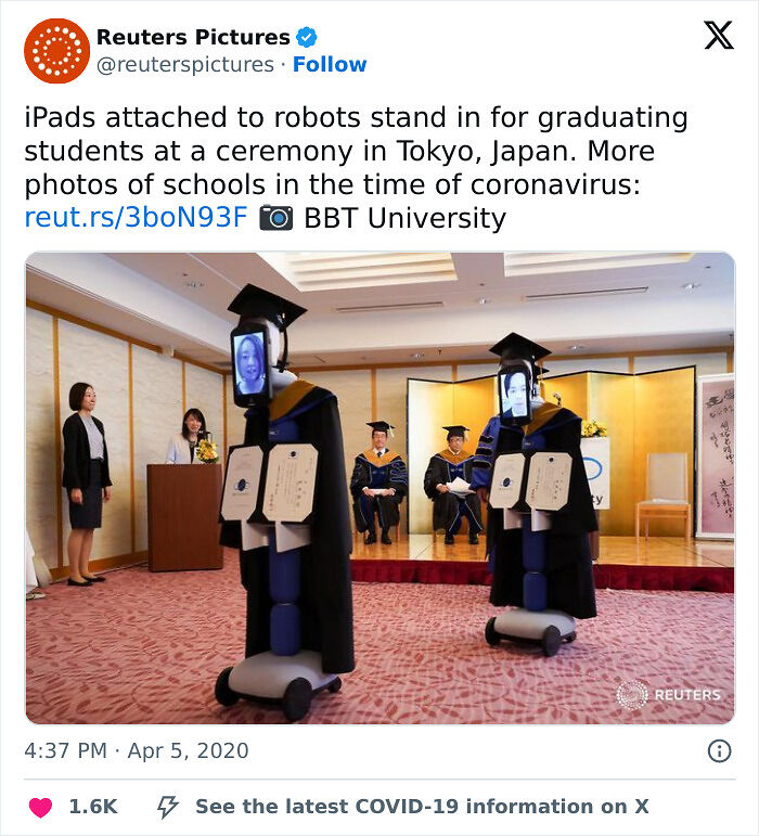 44 Hilariously Unhinged Photos That Summarize The Peak Of Covid Lockdown Madness