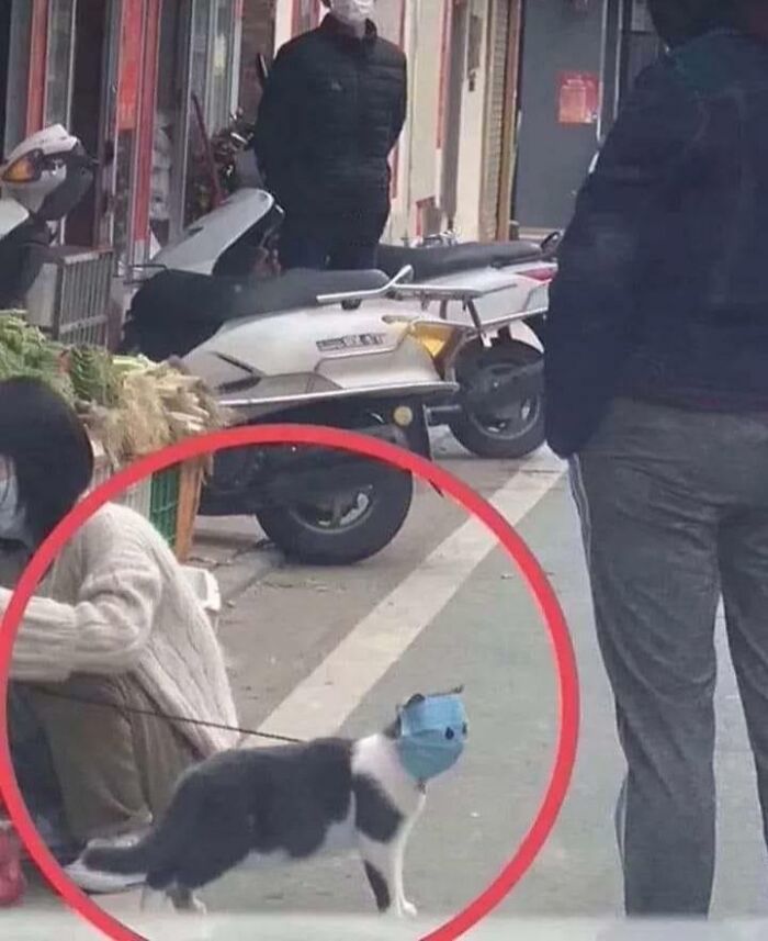 44 Hilariously Unhinged Photos That Summarize The Peak Of Covid Lockdown Madness