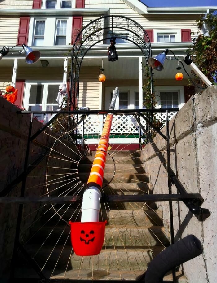 44 Hilariously Unhinged Photos That Summarize The Peak Of Covid Lockdown Madness