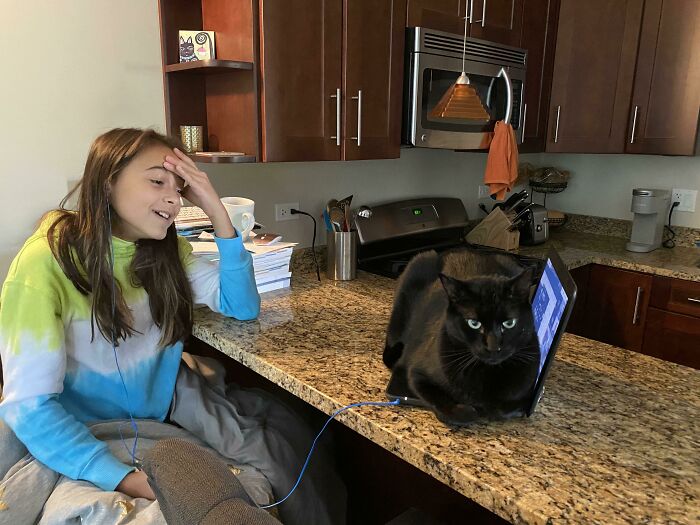 44 Hilariously Unhinged Photos That Summarize The Peak Of Covid Lockdown Madness