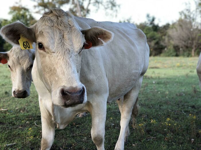 48 Mundane Things That Can End Your Life In Seconds