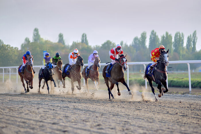 80 Times People Expressed A Level Of Stupidity You Just Can&rsquo;t Make Up