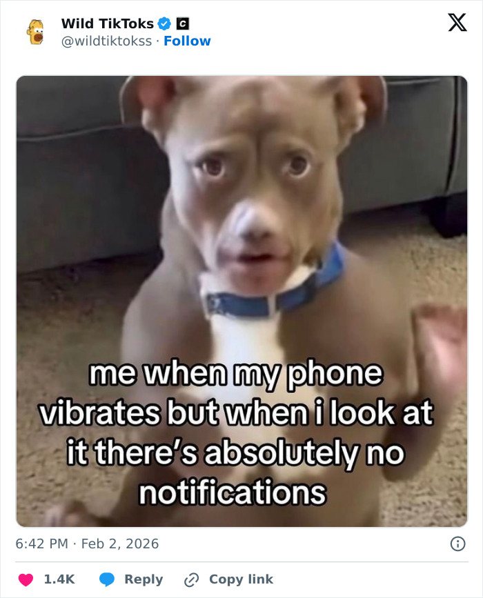 118 Screenshots From TikTok That Range From Funny To “What Did I Just Read?”