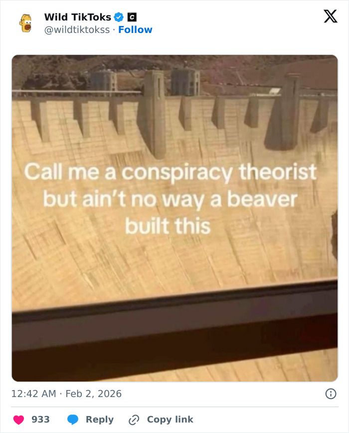 118 Screenshots From TikTok That Range From Funny To “What Did I Just Read?”