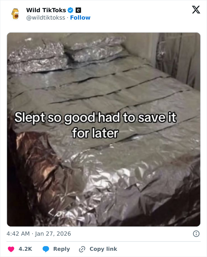 118 Screenshots From TikTok That Range From Funny To “What Did I Just Read?”