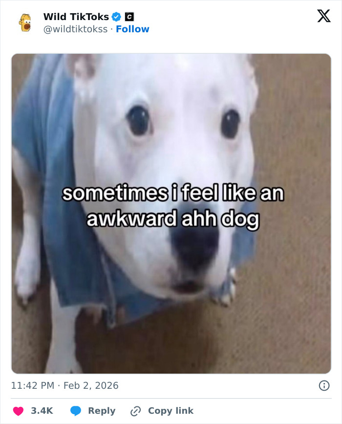 118 Screenshots From TikTok That Range From Funny To “What Did I Just Read?”