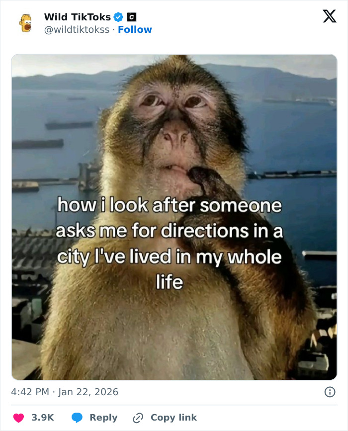 118 Screenshots From TikTok That Range From Funny To “What Did I Just Read?”