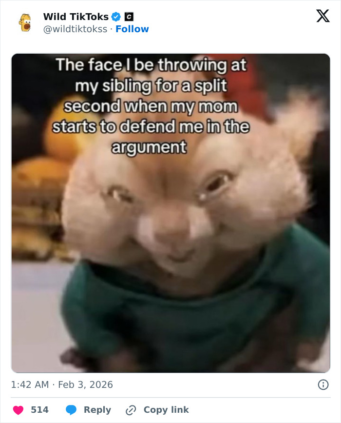 118 Screenshots From TikTok That Range From Funny To “What Did I Just Read?”