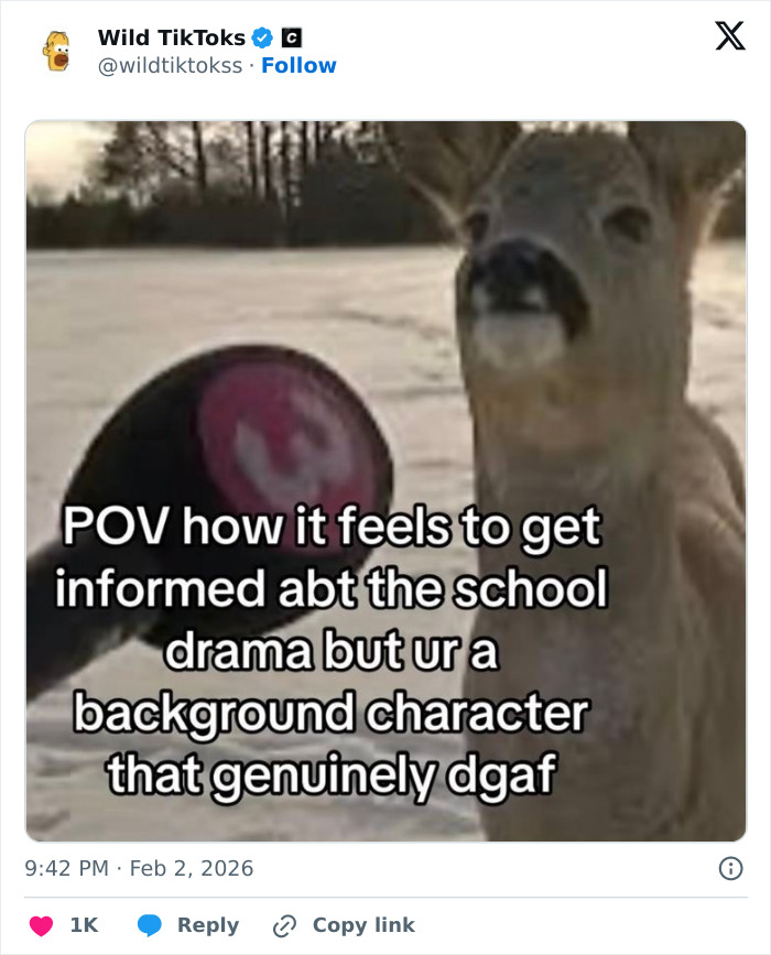 118 Screenshots From TikTok That Range From Funny To “What Did I Just Read?”