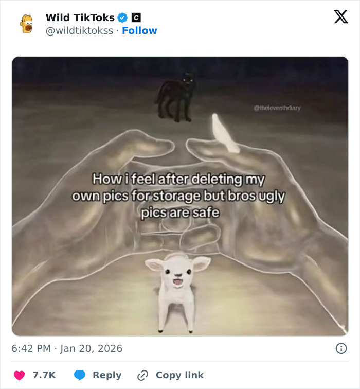 118 Screenshots From TikTok That Range From Funny To “What Did I Just Read?”