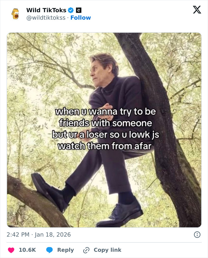 118 Screenshots From TikTok That Range From Funny To “What Did I Just Read?”