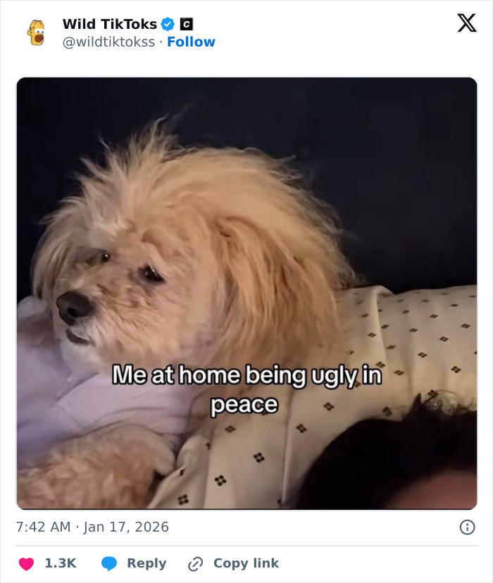 118 Screenshots From TikTok That Range From Funny To “What Did I Just Read?”