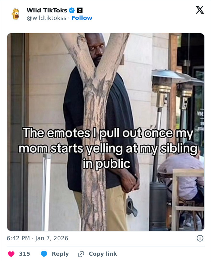 118 Screenshots From TikTok That Range From Funny To “What Did I Just Read?”