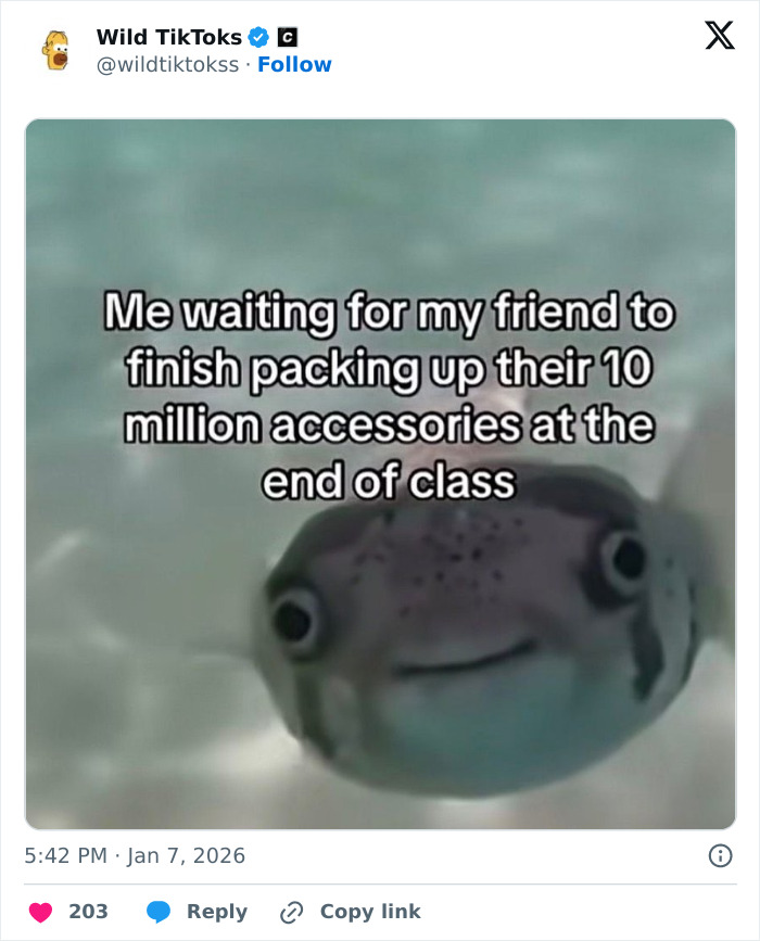 118 Screenshots From TikTok That Range From Funny To “What Did I Just Read?”