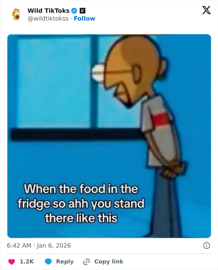 118 Screenshots From TikTok That Range From Funny To “What Did I Just Read?”