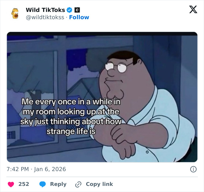 118 Screenshots From TikTok That Range From Funny To “What Did I Just Read?”