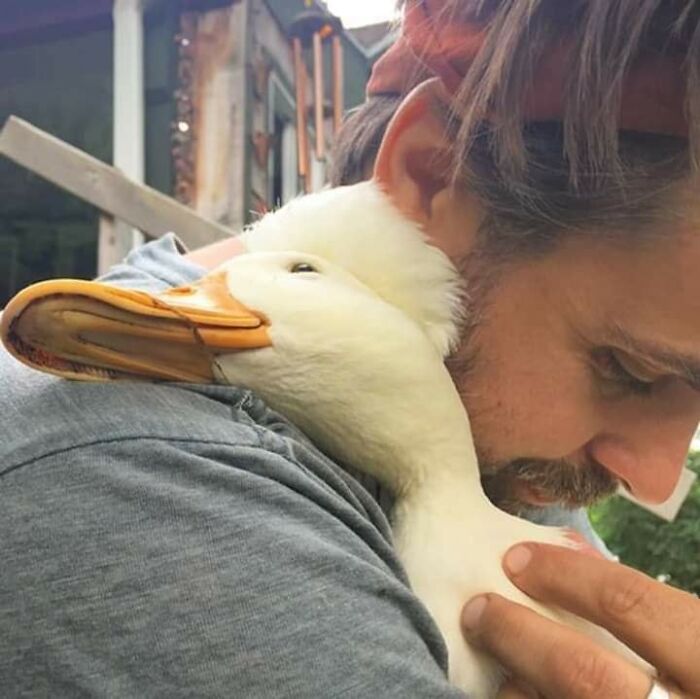 30 Times Humans And Animals Formed The Most Unexpectedly Beautiful Bonds (New Pics)