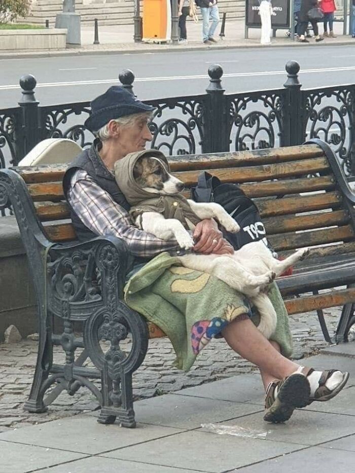 30 Times Humans And Animals Formed The Most Unexpectedly Beautiful Bonds (New Pics)