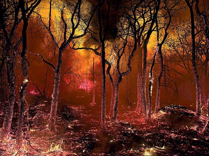 These Stunning Photos From The 2025 National Wildlife Photo Contest Celebrate Nature At Its Most Powerful (22 Pics)