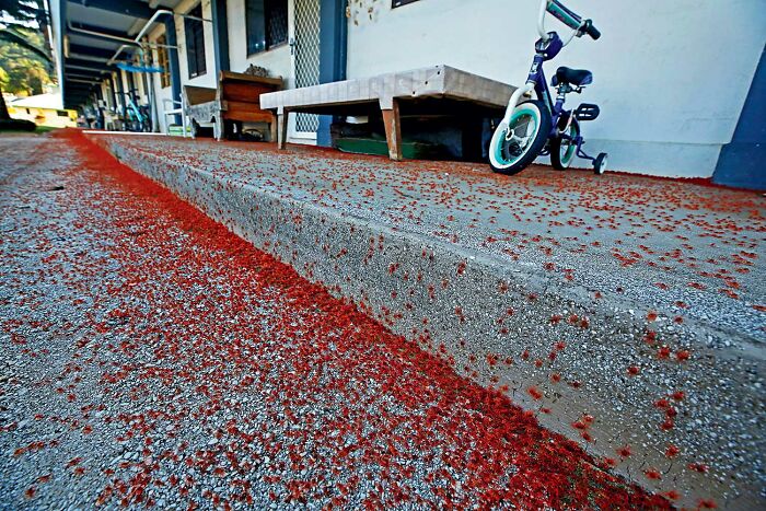 These Stunning Photos From The 2025 National Wildlife Photo Contest Celebrate Nature At Its Most Powerful (22 Pics)