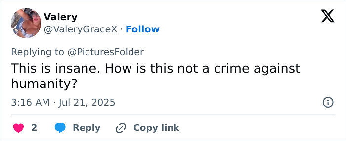 North Korea Publicly Executes Citizens Caught Watching ‘Squid Game’