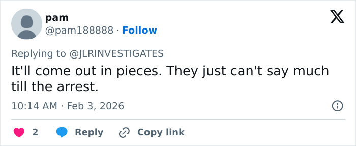 Hostage Negotiator Shares Chilling New Theory After Helicopter Filmed Above Nancy Guthrie’s House