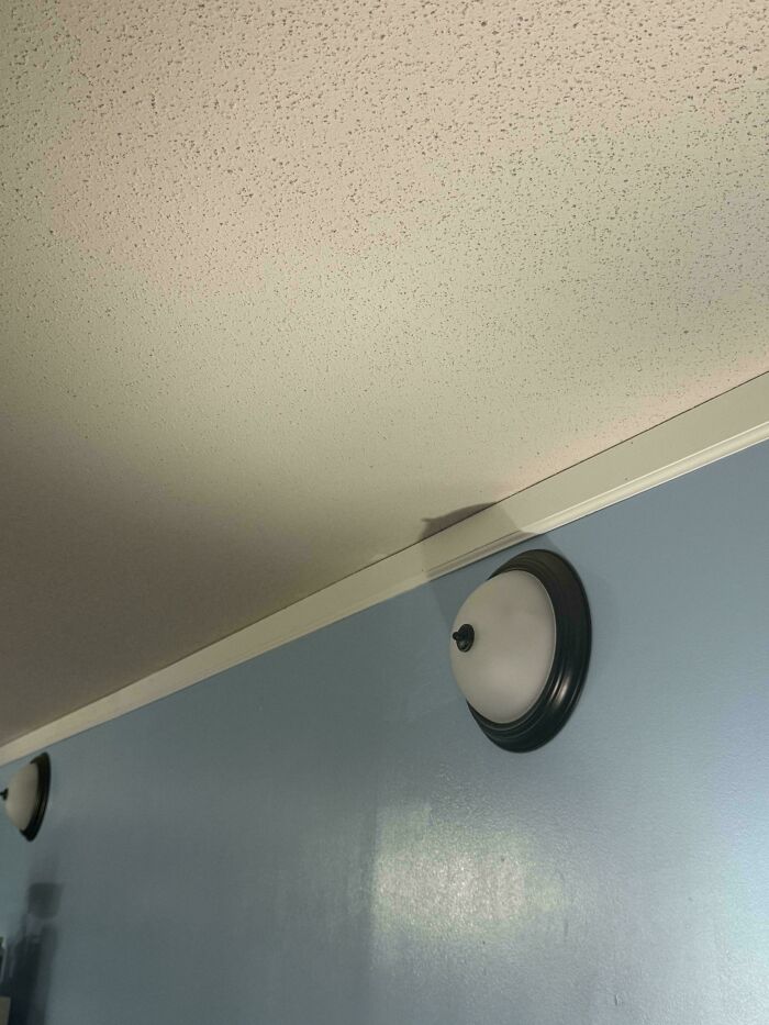 90 Posts Of Ridiculous Home Decor And DIY With Funny Sarcastic Commentary (New Pics) 90 Posts Of Ridiculous Home Decor And DIY With Funny Sarcastic Commentary (New Pics)