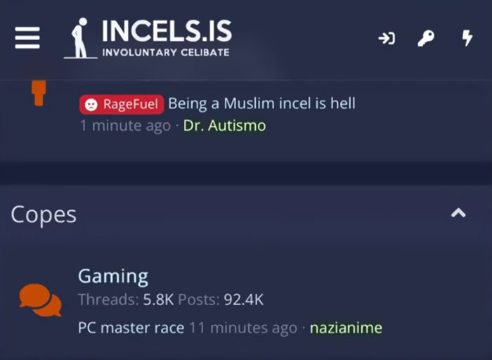 Women Go Undercover In Incel Forums And It’s Way Worse Than Anyone Can Imagine