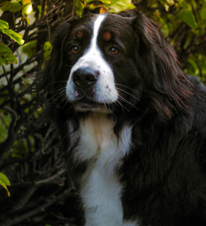 33 “I Can’t Believe I Had To Pay For This” Vet Stories