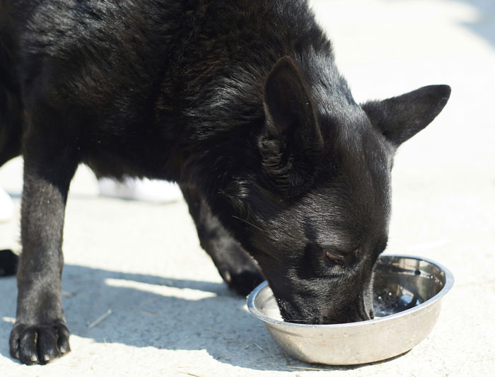 33 “I Can’t Believe I Had To Pay For This” Vet Stories