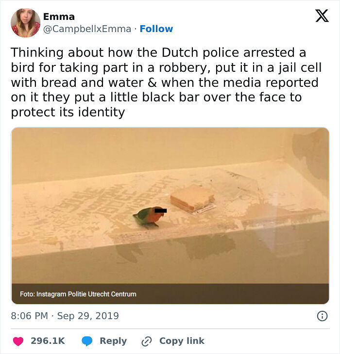 52 Police Social Media Accounts That Are So Unserious It&rsquo;s Hilarious