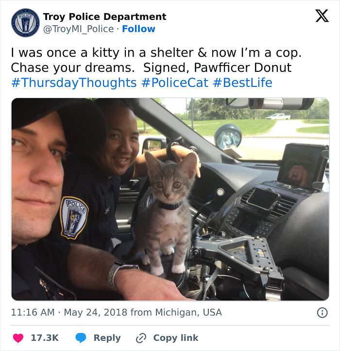 52 Police Social Media Accounts That Are So Unserious It&rsquo;s Hilarious