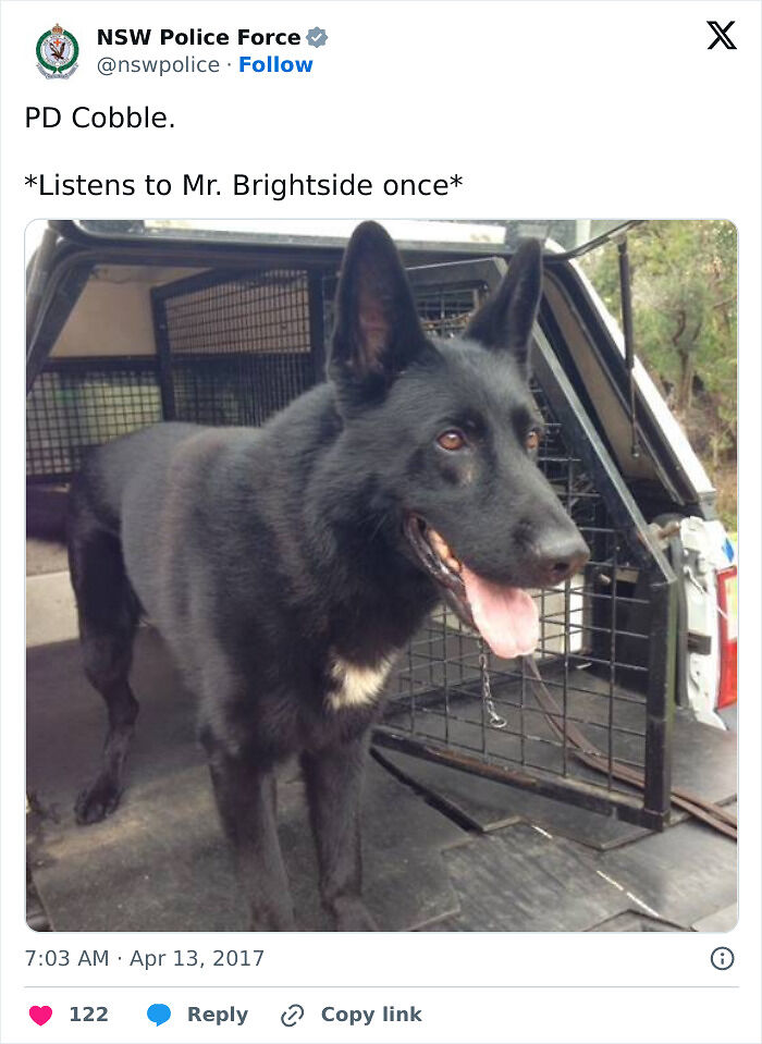 52 Police Social Media Accounts That Are So Unserious It&rsquo;s Hilarious