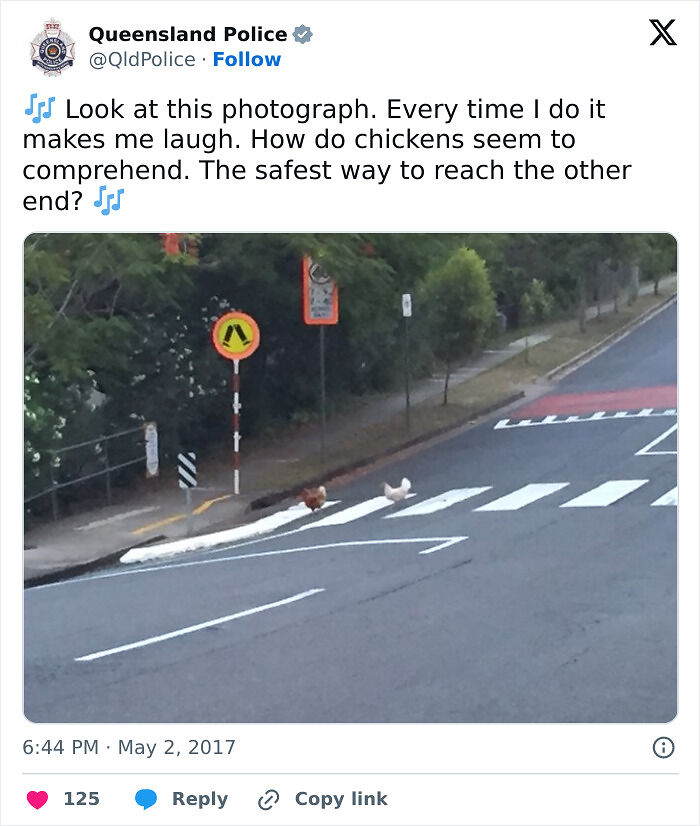 52 Police Social Media Accounts That Are So Unserious It&rsquo;s Hilarious