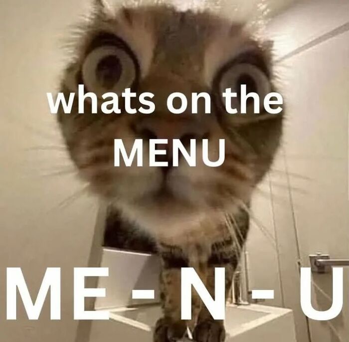 85 Cat Memes From &ldquo;Cutecats.exe&rdquo; That Might Be Exactly What You Need Today