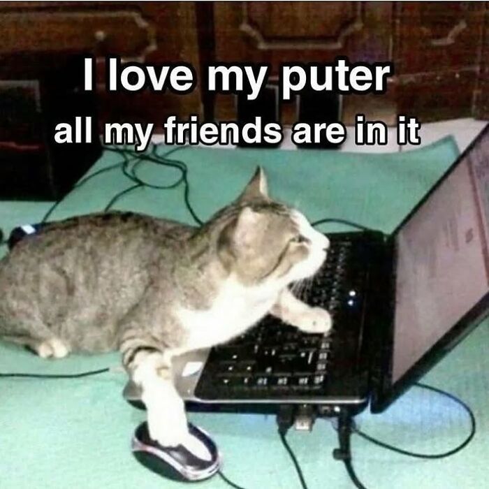 85 Cat Memes From &ldquo;Cutecats.exe&rdquo; That Might Be Exactly What You Need Today