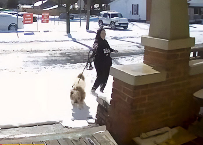 Vet Tech Charged And Fired After Rescuing Abandoned Dog During Snowstorm
