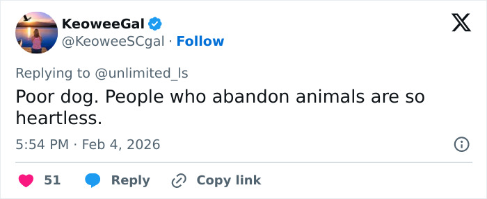 Vet Tech Charged And Fired After Rescuing Abandoned Dog During Snowstorm