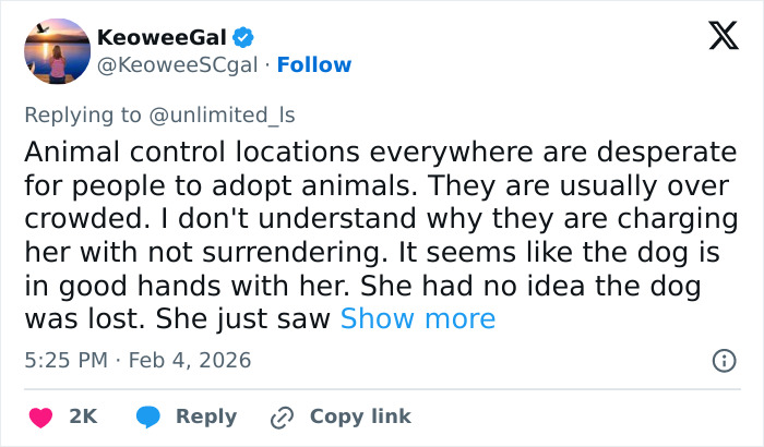 Vet Tech Charged And Fired After Rescuing Abandoned Dog During Snowstorm