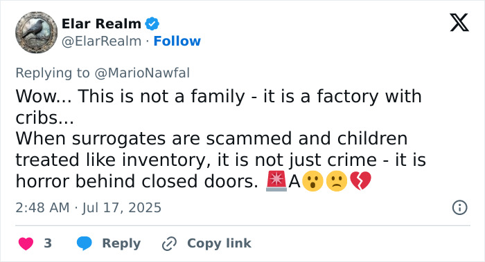 Surrogate Sues Couple She Gave Baby To After Learning They Already Had 21 Kids