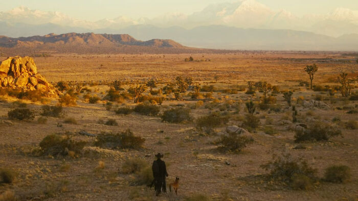 Fallout Season 3’s New Setting: Which Games Take Place In Colorado, And What That Means For The Show